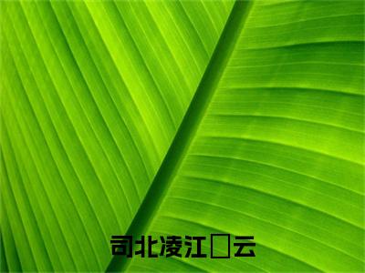 司北凌江妏云（江妏云司北凌）全文免费阅读无弹窗大结局_（江妏云司北凌免费阅读全文大结局）最新章节列表