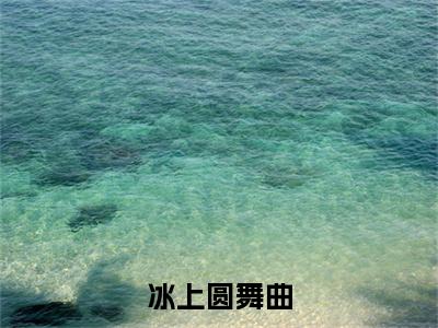 冰上圆舞曲小说（虞晞陆西归）全文免费阅读无弹窗大结局_（冰上圆舞曲）虞晞陆西归小说免费阅读最新章节列表