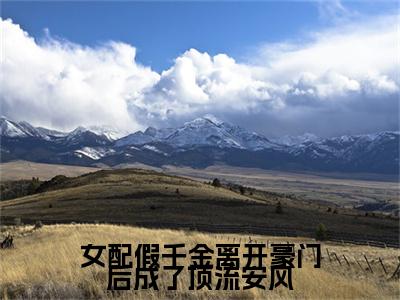 女配假千金离开豪门后成了顶流安风（安风）全文免费阅读无弹窗大结局_女配假千金离开豪门后成了顶流安风热门小说最新章节阅读