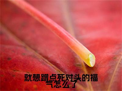 （叶天琪常嘉远）全文免费阅读无弹窗大结局_（就想蹭点死对头的福气怎么了全文免费）叶天琪常嘉远小说最新章节列表_笔趣阁