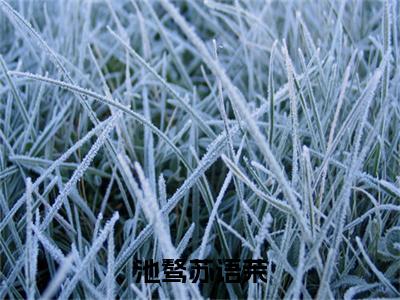 苏语茉池骜（池骜苏语茉）全文免费阅读无弹窗大结局_（苏语茉池骜免费阅读）池骜苏语茉无弹窗最新章节列表