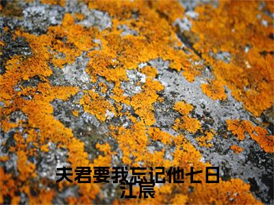 楚穆雪江宸（夫君要我忘记他七日江宸）全文免费阅读无弹窗大结局_（楚穆雪江宸小说全文免费阅读）最新章节列表