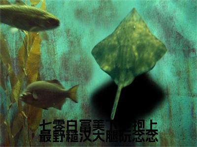 《七零白富美下乡抱上最野糙汉大腿阮念念》主角是江燃阮念念全文免费阅读已完结