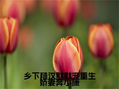 乡下糙汉默默宠重生娇妻奔小康小说主角叫什么顾良城刘芳芳全文免费阅读大结局