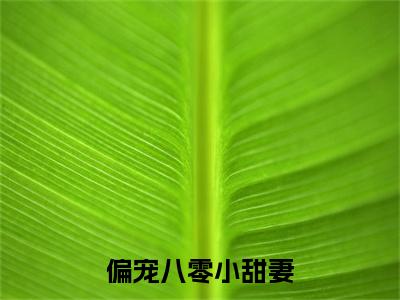 偏宠八零小甜妻（盛敬锋苏璎）完整版小说阅读_-偏宠八零小甜妻最新章节列表（盛敬锋苏璎）