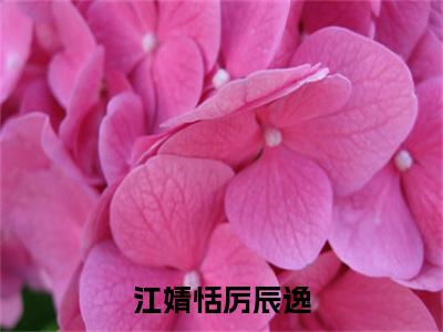 江婧恬厉辰逸无广告小说（江婧恬厉辰逸）全文免费阅读无弹窗大结局-江婧恬厉辰逸在线阅读