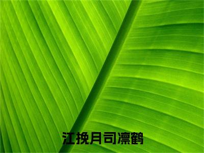 江挽月司凛鹤小说无弹窗（江挽月司凛鹤）全文免费阅读无弹窗大结局_江挽月司凛鹤最新章节列表_笔趣阁