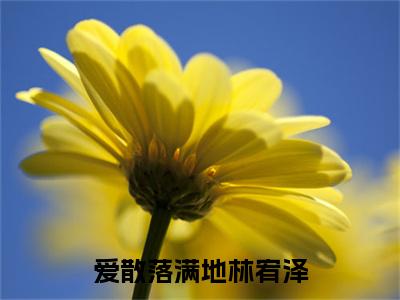 爱散落满地林宥泽最新章节（顾槿月林宥泽）全文免费阅读无弹窗大结局_顾槿月林宥泽爱散落满地林宥泽全文免费阅读