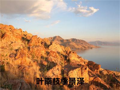 叶南枝季景泽（叶南枝季景泽）全文免费阅读无弹窗大结局_（叶南枝季景泽）叶南枝季景泽最新章节列表