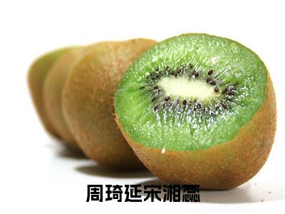 周琦延宋湘蕊（周琦延宋湘蕊）最新免费阅读-周琦延宋湘蕊小说在线阅读