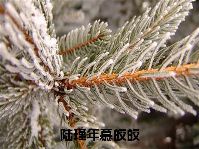 陆瑾年慕皎皎（慕皎皎陆瑾年）全文免费阅读-（慕皎皎陆瑾年小说）陆瑾年慕皎皎最新章节列表