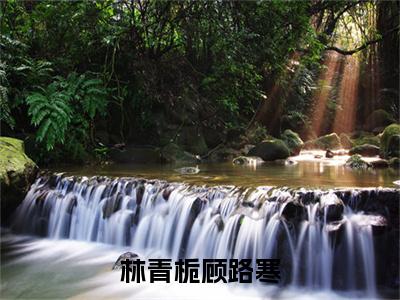 林青栀顾路寒小说（顾路寒林青栀）全文免费阅读-林青栀顾路寒全文阅读无弹窗