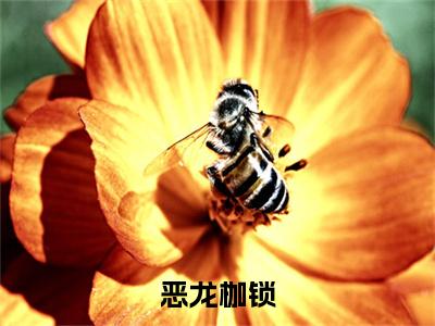 巴律南溪（恶龙枷锁）全文免费阅读大结局_恶龙枷锁无弹窗最新章节列表