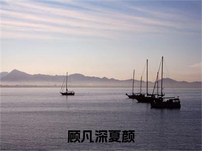 夏颜顾凡深（顾凡深夏颜）全文阅读完整版_顾凡深夏颜小说免费阅读大结局（夏颜顾凡深）