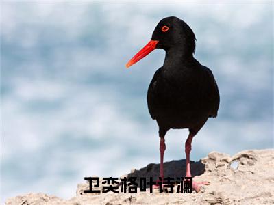 卫奕格叶诗澜热门推荐小说（叶诗澜卫奕格）精彩章节阅读-卫奕格叶诗澜全文免费在线阅读_笔趣阁