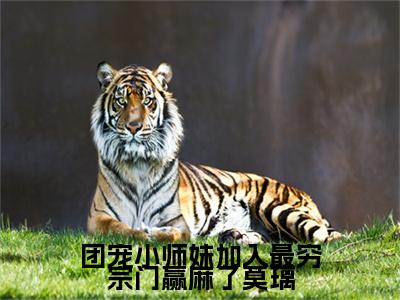 （热推新书）团宠小师妹加入最穷宗门赢麻了莫璃完整版免费小说无弹窗阅读_团宠小师妹加入最穷宗门赢麻了莫璃最新章节列表_笔趣阁（莫璃）