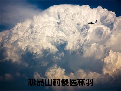 极品山村傻医林羽（林羽）全文在线阅读无弹窗_极品山村傻医林羽小说全文大结局