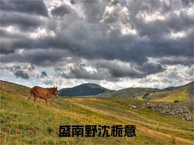 沈栀意盛南野（盛南野沈栀意）免费小说-盛南野沈栀意全文在线阅读