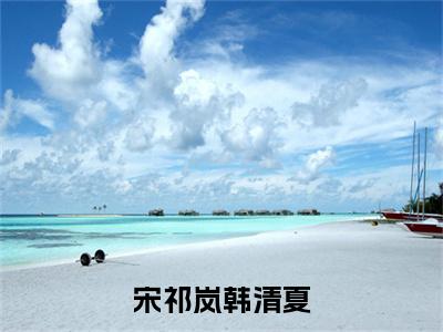 宋祁岚韩清夏（宋祁岚韩清夏）全文免费阅读无弹窗_（宋祁岚韩清夏小说免费阅读）最新章节列表笔趣阁