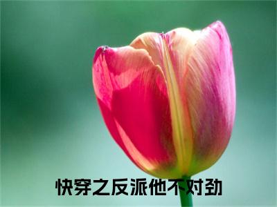 快穿之反派他不对劲（阮苏）全文免费阅读无弹窗大结局_（快穿之反派他不对劲）阮苏最新章节列表_笔趣阁