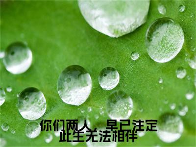 你们两人，早已注定此生无法相伴热门的小说敖汐雾玄樾凌最新更新你们两人，早已注定此生无法相伴-你们两人，早已注定此生无法相伴无删减版