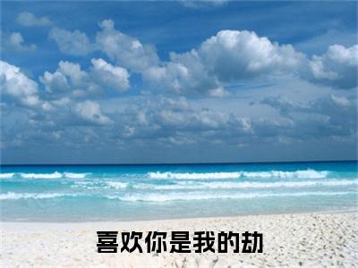 宁清浔沈林冬喜欢你是我的劫快手热文整理-宁清浔沈林冬小说喜欢你是我的劫今日更新章节