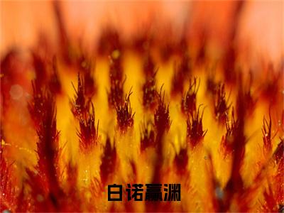 白诺赢渊（白诺赢渊）全文免费阅读_白诺赢渊（白诺赢渊）最新章节小说免费阅读