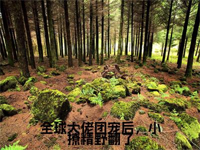 全球大佬团宠后，小撩精野翻了小说全文免费阅读_（司九音）全球大佬团宠后，小撩精野翻了最新章节列表笔趣阁