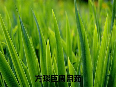 方琰臣周月茹（周月茹方琰臣小说）全文免费阅读无弹窗大结局_方琰臣周月茹最新章节