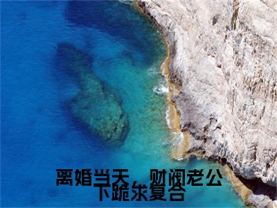 离婚当天，财阀老公下跪求复合（霍司爵南枝）全文免费阅读无弹窗_离婚当天，财阀老公下跪求复合小说免费阅读_笔趣阁