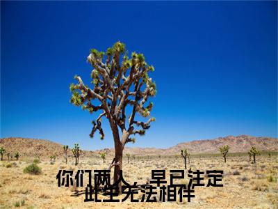 你们两人，早已注定此生无法相伴小说最新试读_敖汐雾玄樾凌是（你们两人，早已注定此生无法相伴全文完整版免费阅读）_笔趣阁