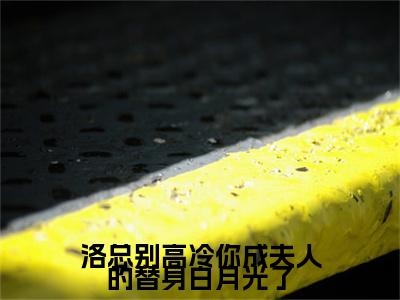 顾桑宁洛离川小说全文无删减-洛总别高冷你成夫人的替身白月光了顾桑宁洛离川小说大结局免费阅读