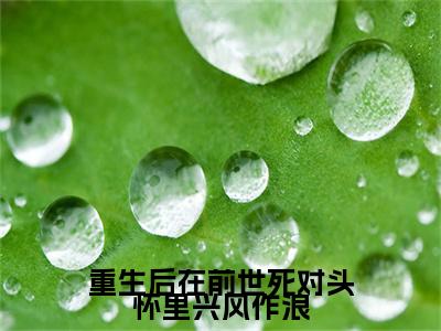 重生后在前世死对头怀里兴风作浪小说傅京寒秦宁最新更新—傅京寒秦宁小说美文赏析