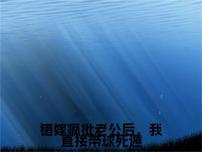 错嫁疯批老公后，我直接带球死遁（秦默淮夏鸢）全文免费阅读无弹窗大结局_秦默淮夏鸢（错嫁疯批老公后，我直接带球死遁最新章节在线阅读）_笔趣阁