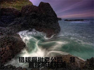 错嫁疯批老公后，我直接带球死遁小说大结局免费阅读，夏鸢秦默淮抖音新上热文分享