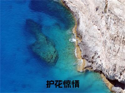 顾北川韩静姝（护花惊情小说）全文免费阅读无弹窗大结局_护花惊情小说最新章节列表_笔趣阁（顾北川韩静姝）