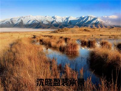 沈晓盈裴承景（裴承景沈晓盈）全文免费阅读无弹窗大结局_（裴承景沈晓盈小说免费阅读）_笔趣阁