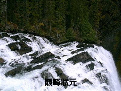 巅峰状元小说（顾滔）全文免费阅读无弹窗大结局_巅峰状元全文免费完结版阅读（顾滔）