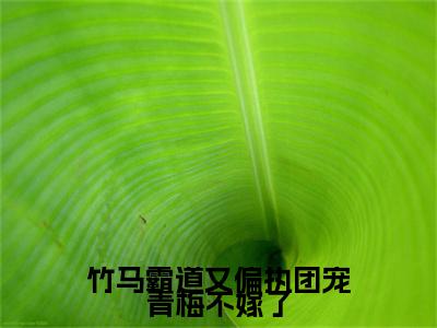 师云意贺一叙全文免费（竹马霸道又偏执团宠青梅不嫁了）全文免费阅读无弹窗大结局_（竹马霸道又偏执团宠青梅不嫁了全文免费师云意贺一叙）