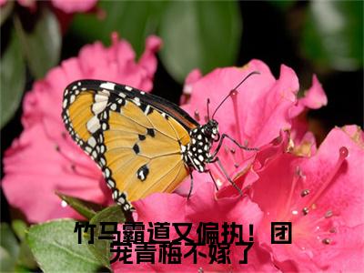 竹马霸道又偏执！团宠青梅不嫁了全文免费阅读-（师云意贺一叙）小说全文免费阅读正版无弹窗