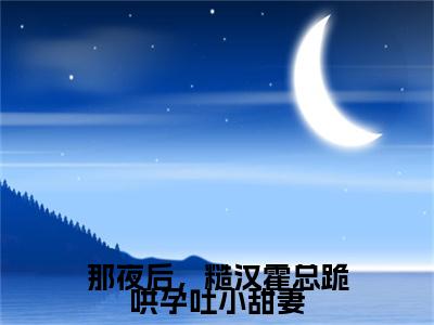 那夜后，糙汉霍总跪哄孕吐小甜妻（霍晞沈夏梨）全文免费阅读无弹窗大结局_那夜后，糙汉霍总跪哄孕吐小甜妻最新章节列表-笔趣阁霍晞沈夏梨