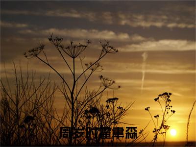 周岁时霍聿森免费小说周岁时霍聿森全文完整版阅读