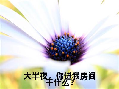 大半夜，你进我房间干什么？正版小说全文阅读顾廷枭慕晚烟无删减版