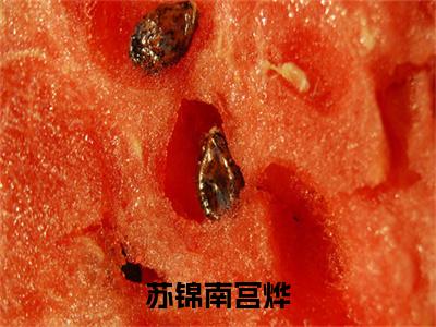 苏锦南宫烨（南宫烨苏锦）免费全文阅读小说_苏锦南宫烨最新章节列表-笔趣阁（南宫烨苏锦）