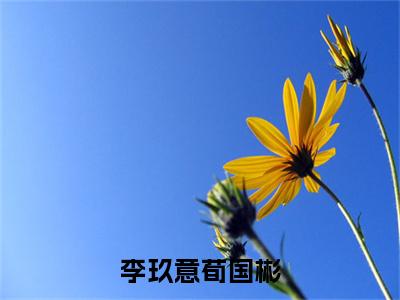 李玖意荀国彬无广告免费阅读-小说荀国彬李玖意最后结局如何