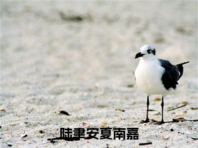 陆聿安夏南嘉（夏南嘉陆聿安）小说最新章节在线阅读-陆聿安夏南嘉（夏南嘉陆聿安）已完结全集大结局