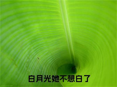 白月光她不想白了小说林听最新更新—林听小说美文赏析