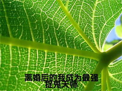 离婚后的我成为最强捉鬼天师（张不染小说）全文免费阅读无弹窗大结局_张不染完整版小说阅读