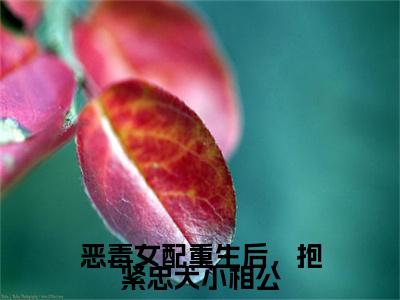 陆芝芝小说免费下载阅读_（恶毒女配重生后，抱紧忠犬小相公）陆芝芝最新章节列表_笔趣阁（恶毒女配重生后，抱紧忠犬小相公）