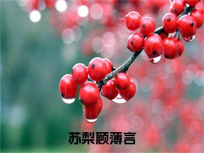 苏梨顾薄言（顾薄言苏梨）全文免费阅读无弹窗大结局_苏梨顾薄言最新章节列表（顾薄言苏梨）